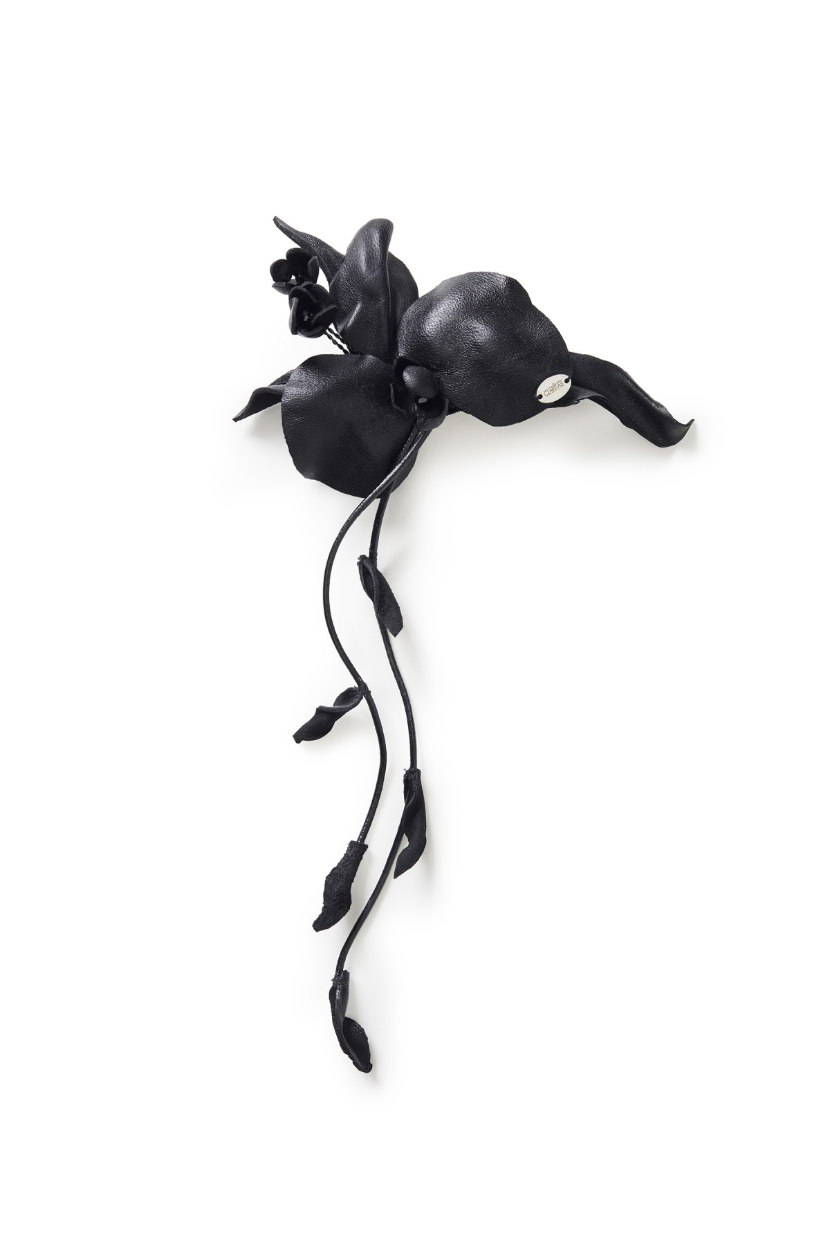 SOHO ORCHID